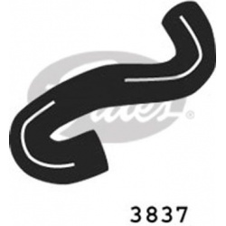 Aušinimo vamzdis, žarna
                                GATES                                                3837, GATES, 3