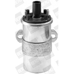 ritė, uždegimas
                                BorgWarner (BERU)                                                ZS 117, Bo