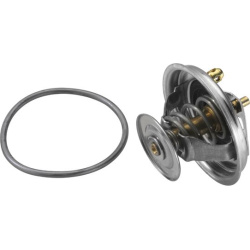 termostatas, aušinimo skystis
                                BorgWarner (Wahler)                                4123.80D, B