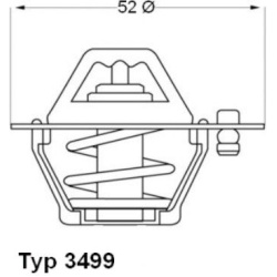 termostatas, aušinimo skystis
                                BorgWarner (Wahler)                                           