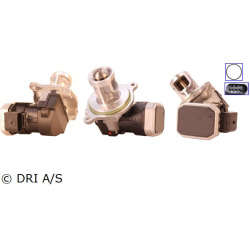 ERG vožtuvas
                                DRI                                                717730166, Nenurodytas gamin