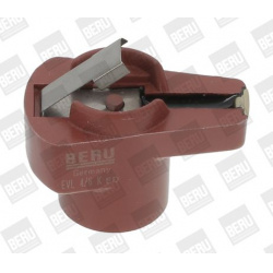 BorgWarner (BERU)                                                EVL 4/6-K, BorgWarner (BERU), EVL46-K, auto detalė