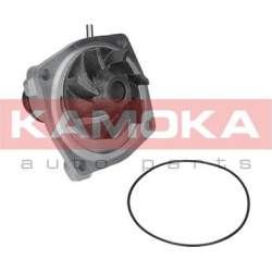 Vandens siurblys, variklio aušinimas
                                KAMOKA                                                T