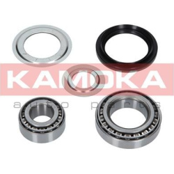 Rato guolio komplektas
                                KAMOKA                                                5600039, KAMOKA,