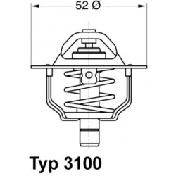 termostatas, aušinimo skystis
                                BorgWarner (Wahler)                                           