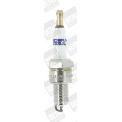 BorgWarner (BERU)                                                Z 258, BorgWarner (BERU), Z258, auto detalė