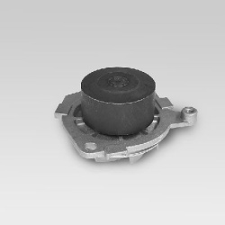 Vandens siurblys, variklio aušinimas
                                HEPU                                                P10