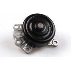 Vandens siurblys, variklio aušinimas
HEPU P76