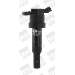 ritė, uždegimas
                                BorgWarner (BERU)                                                ZS 478, Bo