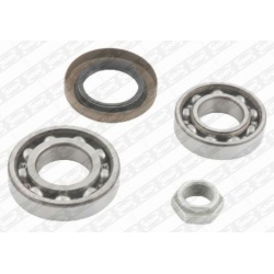 rato guolis
                                SNR                                                R173.11, SNR, R17311, auto det
