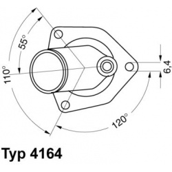 termostatas, aušinimo skystis
                                BorgWarner (Wahler)                                           