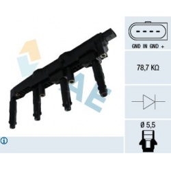 ritė, uždegimas
                                FAE                                                80325, Nenurodytas gamin