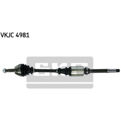 pusašis
                                SKF                                                VKJC 4981, SKF, VKJC4981, auto de