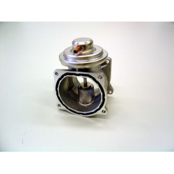 ERG vožtuvas
                                BorgWarner (Wahler)                                                7268D, BorgW