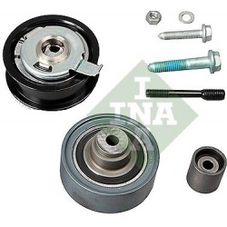 skriemulių komplektas, paskirstymo diržas
                                INA                                              