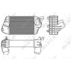 tarpinis suslėgto oro aušintuvas, kompresorius
                                NRF                                         