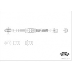stabdžių žarnelė
                                CORTECO                                                19036355, CORTECO