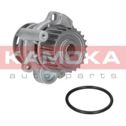 Vandens siurblys, variklio aušinimas
                                KAMOKA                                                T