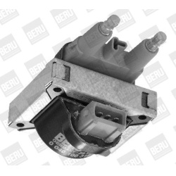 ritė, uždegimas
                                BorgWarner (BERU)                                ZS 318, BorgWarner (BERU),