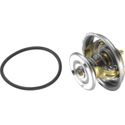 termostatas, aušinimo skystis
                                BorgWarner (Wahler)                                           