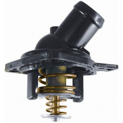 termostatas, aušinimo skystis
                                BorgWarner (Wahler)                                           