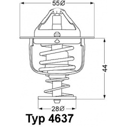 termostatas, aušinimo skystis
                                BorgWarner (Wahler)                                           