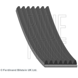 V formos rumbuoti diržai
                                BLUE PRINT                                AD07R1817, BLUE PRINT, AD