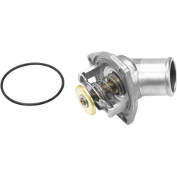 termostatas, aušinimo skystis
                                BorgWarner (Wahler)                                4168.92D, B