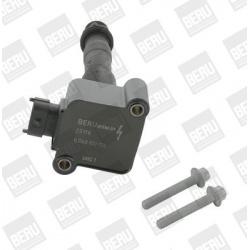 ritė, uždegimas
                                BorgWarner (BERU)                                                ZS 178, Bo