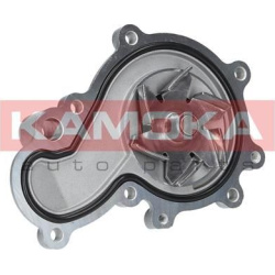 Vandens siurblys, variklio aušinimas
                                KAMOKA                                                T