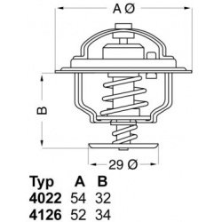 termostatas, aušinimo skystis
                                BorgWarner (Wahler)                                           