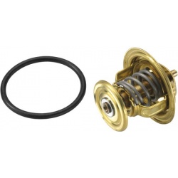 termostatas, aušinimo skystis
                                BorgWarner (Wahler)                                4256.80D, B