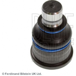 Šarnyras
                                BLUE PRINT                                                ADN18689, BLUE PRINT, ADN