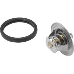 termostatas, aušinimo skystis
                                BorgWarner (Wahler)                                410808.88D,
