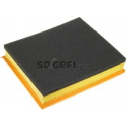 oro filtras
                                PURFLUX                                                A1010, PURFLUX, A1010, aut