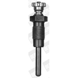 kaitinimo žvakė
                                BorgWarner (BERU)                                GV 119, BorgWarner (BERU),