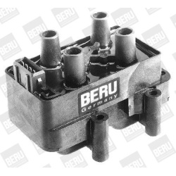 ritė, uždegimas
                                BorgWarner (BERU)                                ZS 232, BorgWarner (BERU),