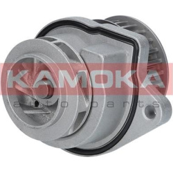 Vandens siurblys, variklio aušinimas
                                KAMOKA                                                T