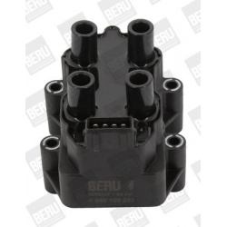 ritė, uždegimas
                                BorgWarner (BERU)                                                ZS 232, Bo
