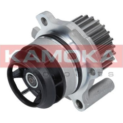 Vandens siurblys, variklio aušinimas
                                KAMOKA                                                T