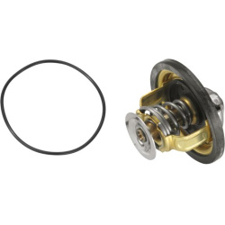 termostatas, aušinimo skystis
                                BorgWarner (Wahler)                                4174.79D, B