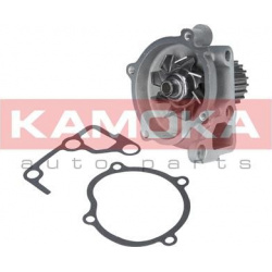 Vandens siurblys, variklio aušinimas
                                KAMOKA                                                T