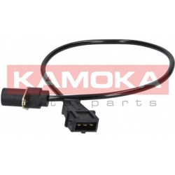 Daviklis alkūninio veleno padėties
                                KAMOKA                                                10