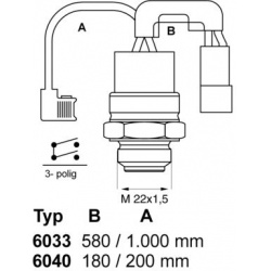 temperatūros jungiklis, radiatoriaus ventiliatorius
                                BorgWarner (Wahler)                     