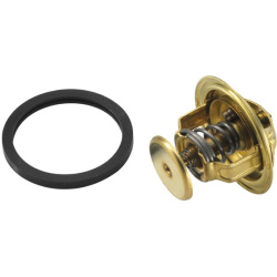 termostatas, aušinimo skystis
                                BorgWarner (Wahler)                                4022.92D, B