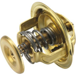 termostatas, aušinimo skystis
                                BorgWarner (Wahler)                                4126.88, Bo