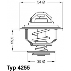 termostatas, aušinimo skystis
                                BorgWarner (Wahler)                                           
