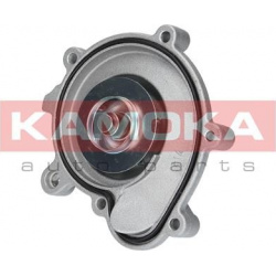 Vandens siurblys, variklio aušinimas
                                KAMOKA                                T0194, KAMOKA, T0