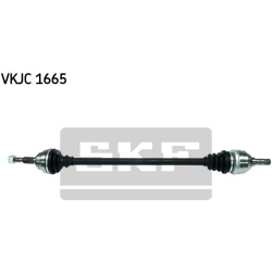 pusašis
                                SKF                                                VKJC 1665, SKF, VKJC1665, auto de