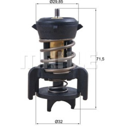 Termostatas
                                MAHLE                                                TX25194D, MAHLE, TX25194D, a